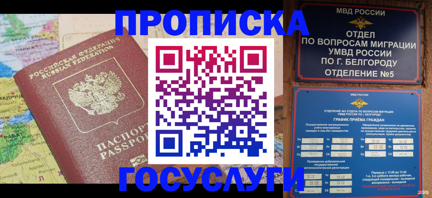 прописка регистрация в Щёкино
